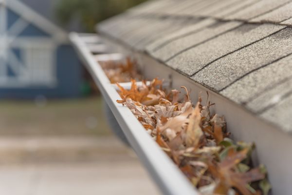 Leaf Barrier Installation in Stamford